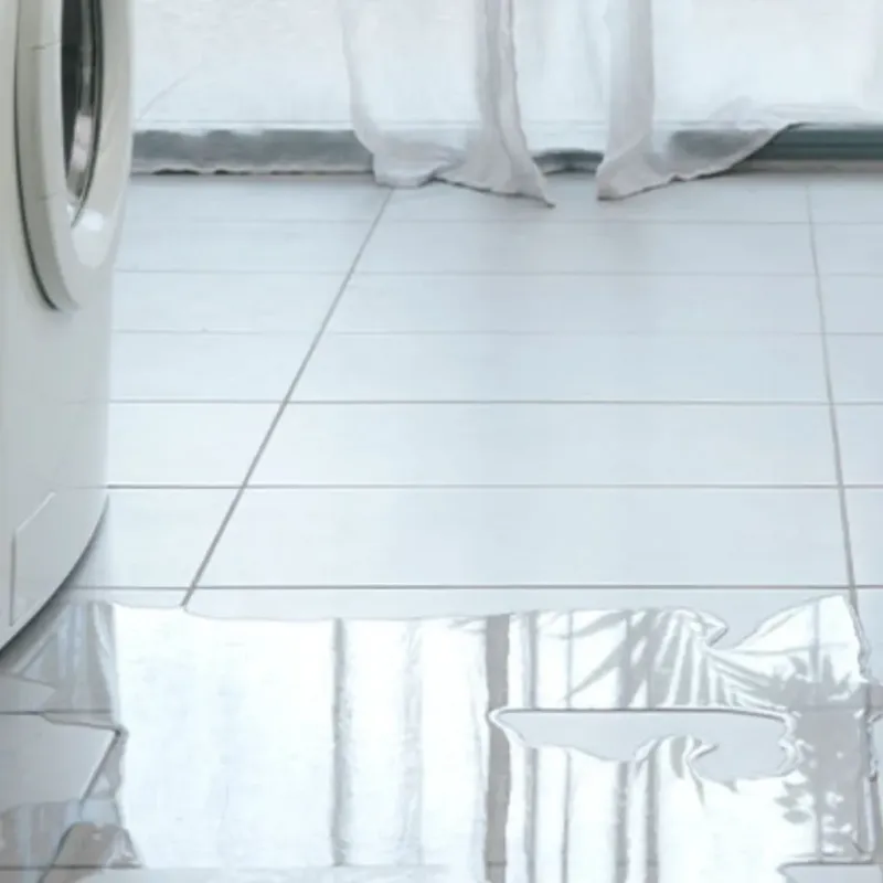 Appliance Leak Cleanup in Hainesville, IL