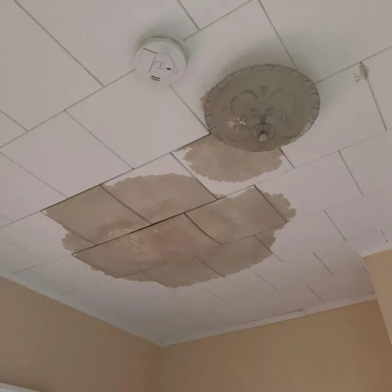 Ceiling Water Damage Repair in Hainesville, IL