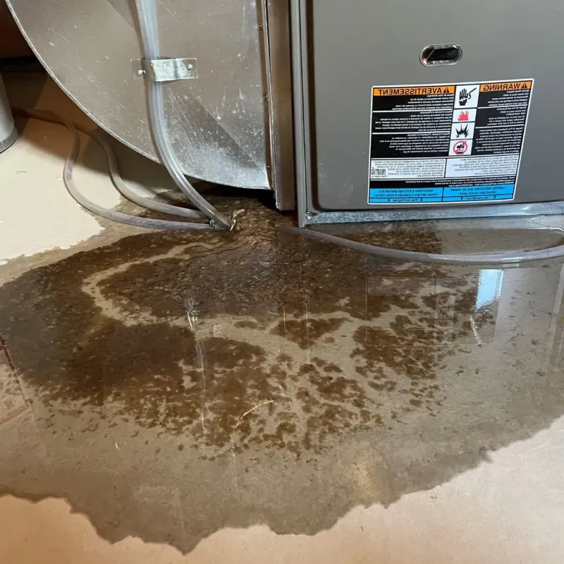 Pipe Burst and Leak Restoration in Hainesville, IL